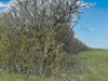 Ma-Cabane - Vente Terrain FAVIERES, 2409 m²
