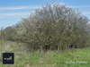Ma-Cabane - Vente Terrain FAVIERES, 2409 m²