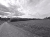 Ma-Cabane - Vente Terrain FAVIERES, 2409 m²