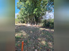 Ma-Cabane - Vente Terrain Ferel, 886 m²