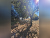 Ma-Cabane - Vente Terrain Ferel, 886 m²