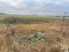 Ma-Cabane - Vente Terrain Ferrières-en-Gâtinais, 705 m²