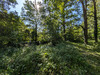 Ma-Cabane - Vente Terrain Ferrières-en-Gâtinais, 3758 m²