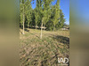 Ma-Cabane - Vente Terrain Festigny, 4638 m²