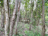Ma-Cabane - Vente Terrain FISMES, 1870 m²