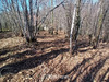 Ma-Cabane - Vente Terrain FLAGNAC, 1395 m²
