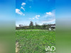 Ma-Cabane - Vente Terrain Fleurieux-sur-l'Arbresle, 690 m²