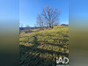 Ma-Cabane - Vente Terrain Foncine-le-Haut, 873 m²