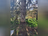 Ma-Cabane - Vente Terrain FONT-ROMEU-ODEILLO-VIA, 1569 m²