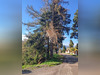Ma-Cabane - Vente Terrain FONT-ROMEU-ODEILLO-VIA, 1569 m²