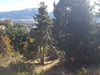 Ma-Cabane - Vente Terrain FONT-ROMEU-ODEILLO-VIA, 1569 m²