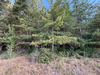 Ma-Cabane - Vente Terrain FONTAINES-EN-SOLOGNE, 58977 m²
