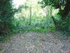 Ma-Cabane - Vente Terrain Fontenay-sur-Loing, 794 m²