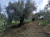Ma-Cabane - Vente Terrain FONTES, 26000 m²
