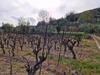 Ma-Cabane - Vente Terrain FONTES, 26000 m²