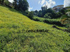 Ma-Cabane - Vente Terrain FORT DE FRANCE, 1390 m²