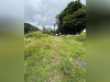 Ma-Cabane - Vente Terrain Fort-de-France, 1400 m²