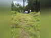 Ma-Cabane - Vente Terrain Fort-de-France, 1400 m²