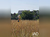 Ma-Cabane - Vente Terrain Fouesnant, 3679 m²
