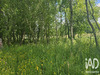 Ma-Cabane - Vente Terrain Franquevielle, 5181 m²
