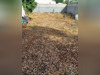 Ma-Cabane - Vente Terrain FRONTIGNAN, 270 m²
