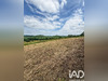 Ma-Cabane - Vente Terrain Gan, 1215 m²