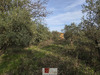 Ma-Cabane - Vente Terrain GANGES, 2882 m²