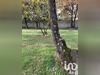 Ma-Cabane - Vente Terrain Garéoult, 757 m²
