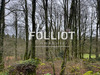 Ma-Cabane - Vente Terrain GATHEMO, 14000 m²