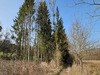 Ma-Cabane - Vente Terrain Gernelle, 2455 m²