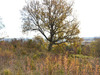 Ma-Cabane - Vente Terrain GIROUSSENS, 1954 m²