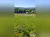 Ma-Cabane - Vente Terrain Givet, 2000 m²
