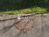 Ma-Cabane - Vente Terrain Givry-en-Argonne, 2225 m²