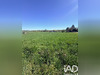 Ma-Cabane - Vente Terrain Gomelange, 1175 m²