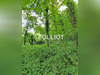 Ma-Cabane - Vente Terrain GOUPILLIERES, 670 m²