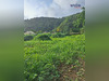 Ma-Cabane - Vente Terrain Gourbeyre, 6826 m²