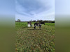 Ma-Cabane - Vente Terrain Graignes-Mesnil-Angot, 9250 m²
