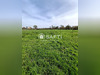 Ma-Cabane - Vente Terrain Graignes-Mesnil-Angot, 9250 m²