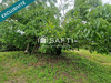 Ma-Cabane - Vente Terrain Grand-Auverne, 2395 m²