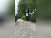 Ma-Cabane - Vente Terrain GRANDCHAMPS-DES-FONTAINES, 778 m²