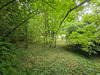 Ma-Cabane - Vente Terrain GRANVILLE, 2700 m²