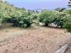 Ma-Cabane - Vente Terrain GRASSE, 1278 m²