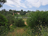 Ma-Cabane - Vente Terrain GRASSE, 3034 m²