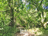 Ma-Cabane - Vente Terrain GRASSE, 3492 m²