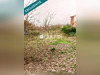 Ma-Cabane - Vente Terrain Graulhet, 400 m²