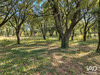Ma-Cabane - Vente Terrain Grignan, 1589 m²