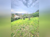 Ma-Cabane - Vente Terrain Grigny, 1000 m²