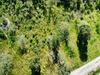 Ma-Cabane - Vente Terrain Grimaud, 6922 m²
