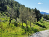 Ma-Cabane - Vente Terrain Grimaud, 6922 m²