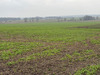 Ma-Cabane - Vente Terrain GRISY LES PLATRES, 926 m²